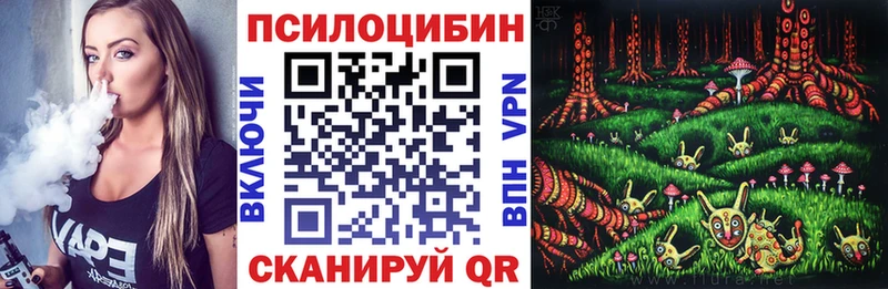 Галлюциногенные грибы Psilocybe  Купить  Урень 